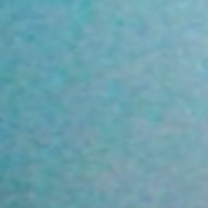 Meet your Posher, Chasidy